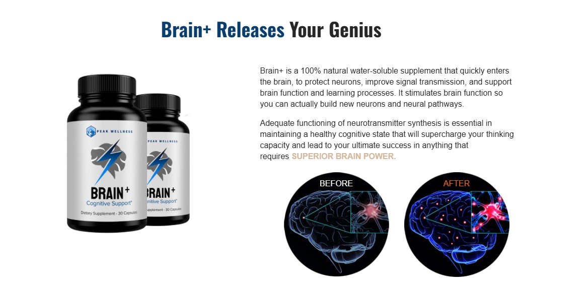 Brain Plus Reviews