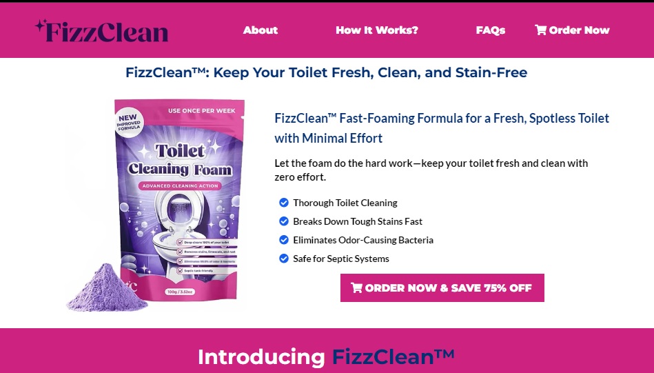 fizzclean toilet cleaning foam 1