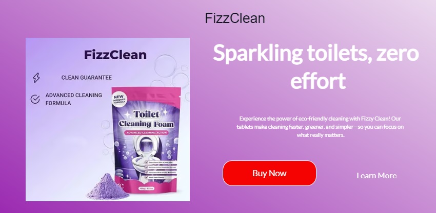 fizzclean toilet cleaning foam reviews