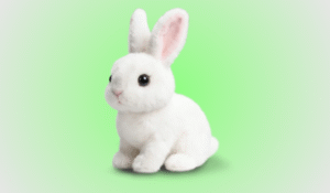 Hoppsy Robot Bunny – Features, Benefits & Honest Verdict!