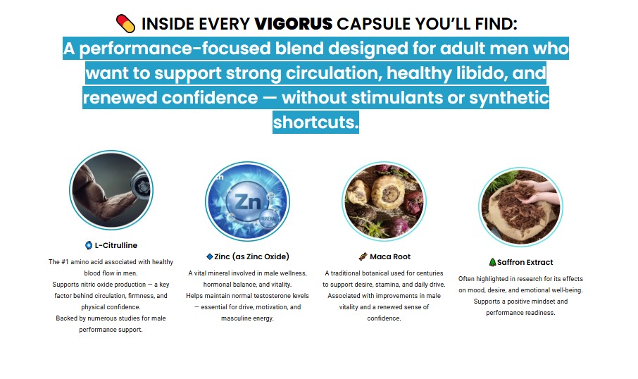 Vigorus Official