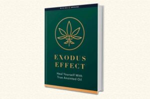 Exodus Effect Reviews – Is It Really Worth the Hype?