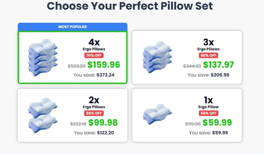 Ergo Pillow Price