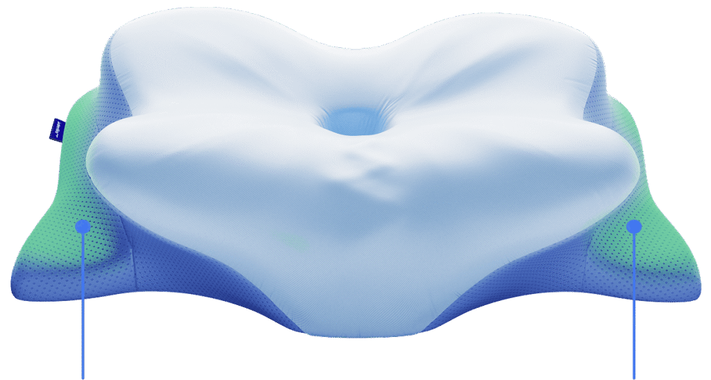 Derila ERGO Memory Foam Pillow Canada 2026 1